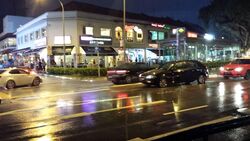 Holland Village (D10), Retail #582079591